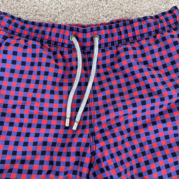 Like New! Bluemint Swim Trunks - Picture 2 of 5